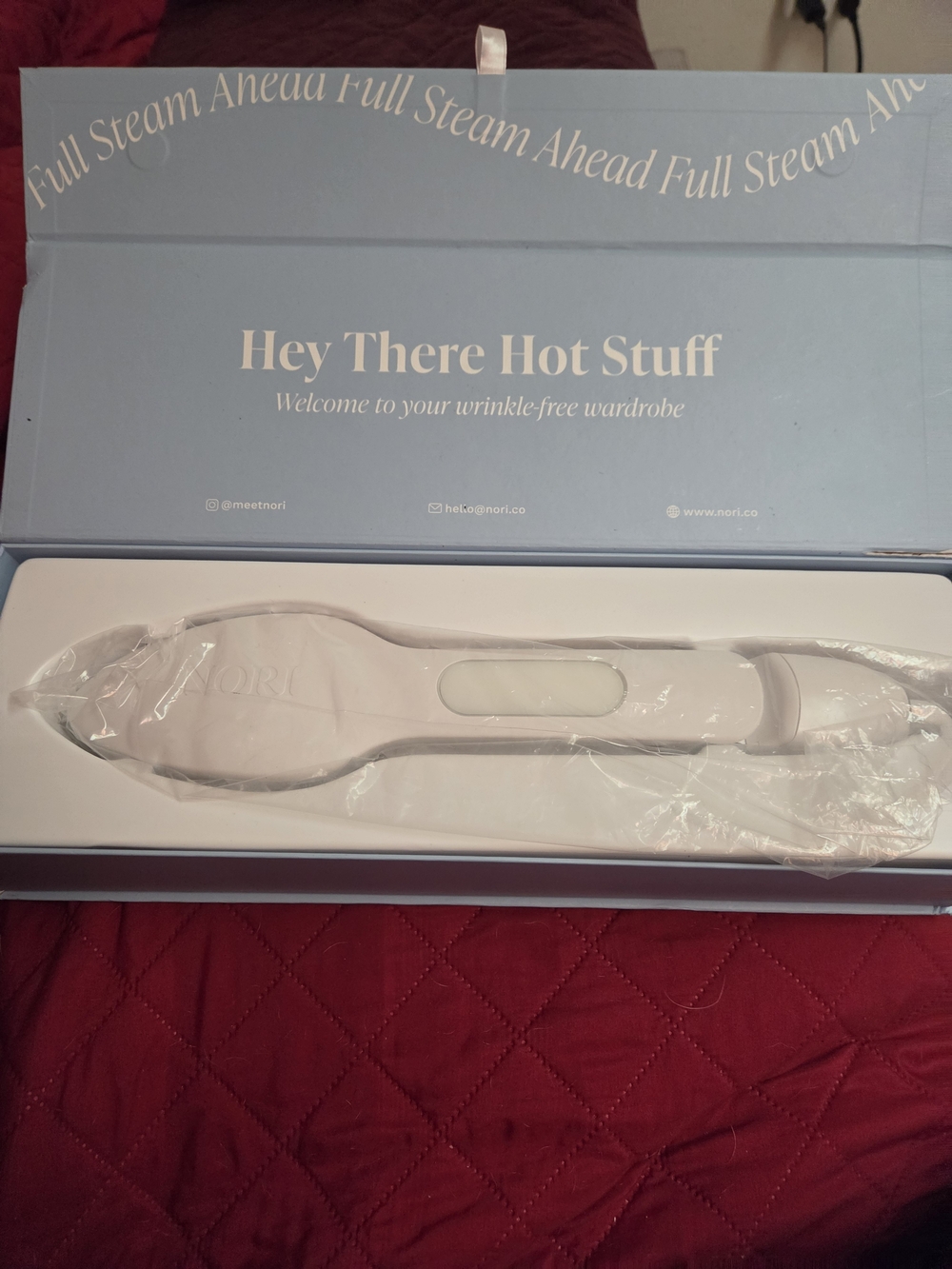NWT Nori Handheld Garment Steam Iron - White